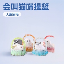 ���^�ؔ�؈�����ë�q�����Ƭ�ٽz��@��ˇƷ�羳�Ҿ�܇�[���l��