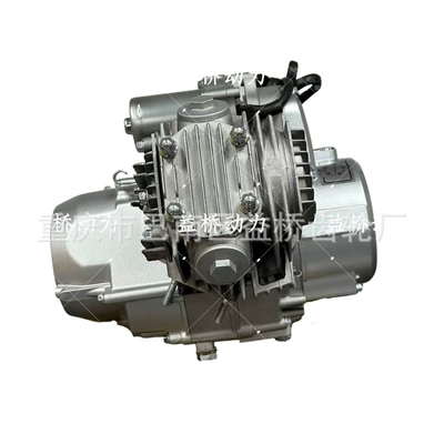 Off-Road Motorcycle Engine Assembly Engine assembly