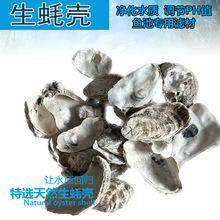 ��򺚤 ĵϠ�� �~���^�V���� �\���،��ÞV�� ����PHֵ