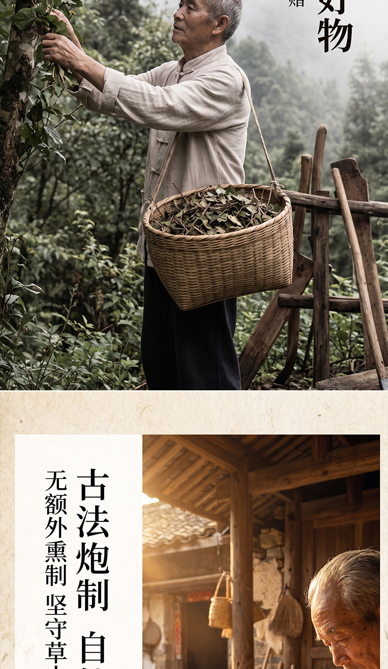 Dried Mulberry Mistletoe Sang Ji Sheng Cut Segments Natural Sun Dried Herb for Decoction and Tea 500g specifications