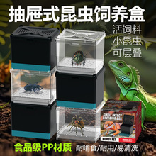 诺摩爬宠盒子螳螂宠物蟋蟀独角仙成虫甲虫蜗牛昆虫饲养盒H21