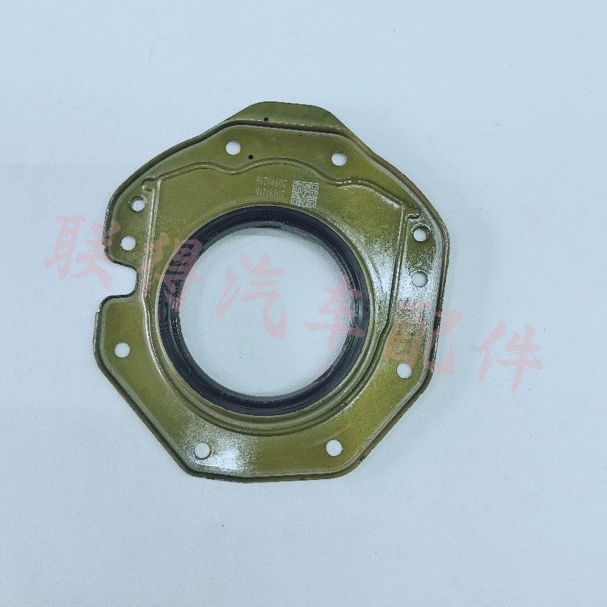 Подходит для Chevrolet/Yinglang/1.0/заднего сальса коленчатого вала/24106752