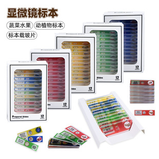 Student Creative Science and Education Experimental Microscope Accessories Specimen Toys Plastic Biological Specimen Slices 1 Box of 12 Pieces