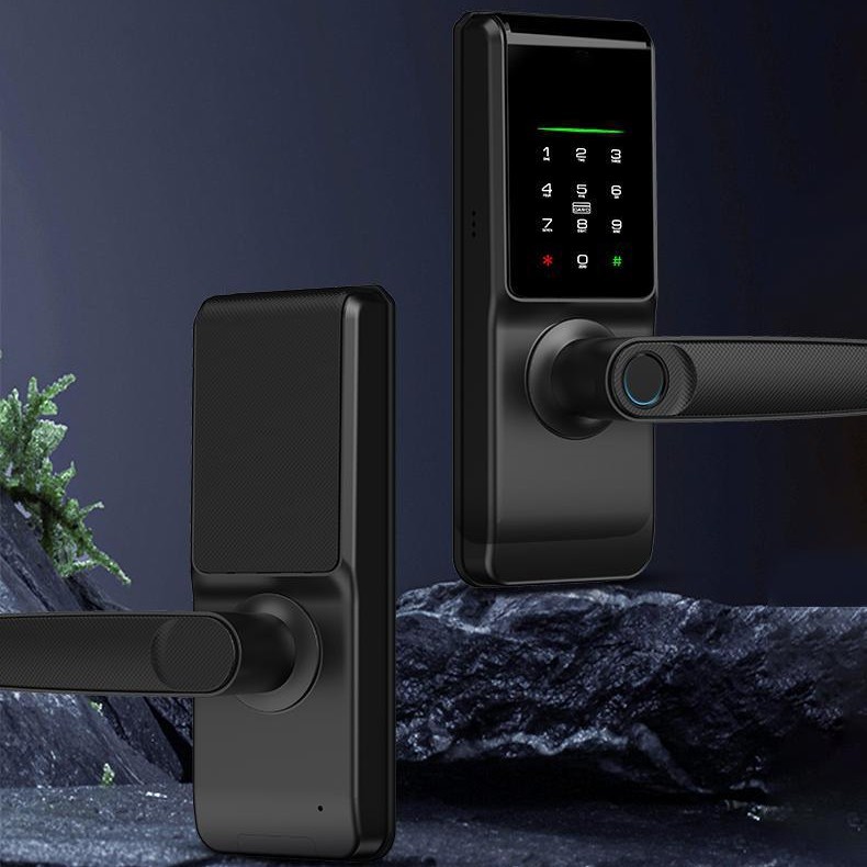 外贸多国语言TTLOCK通通涂鸦指纹锁公寓木门电子刷卡密码锁智能锁