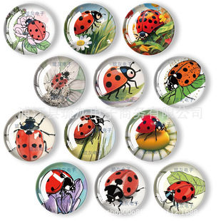 Crystal Glass Refrigerator Magnet Beetle Series Magnetic Sticker Creative Gift Soft Magnet Souvenir Whiteboard Sticker Cross-Border