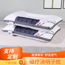 批發磁療決明子枕 成人學生單人磁療枕 老人護頸保健枕頭廠家