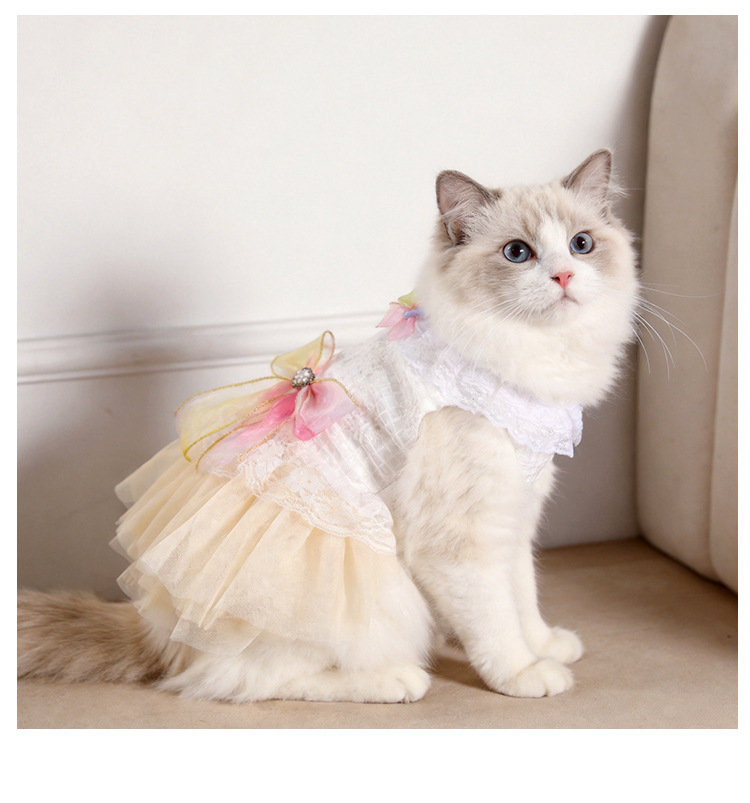 Princess Summer Gradient Lace Dress For Small Dogs And Cats_voghion.com