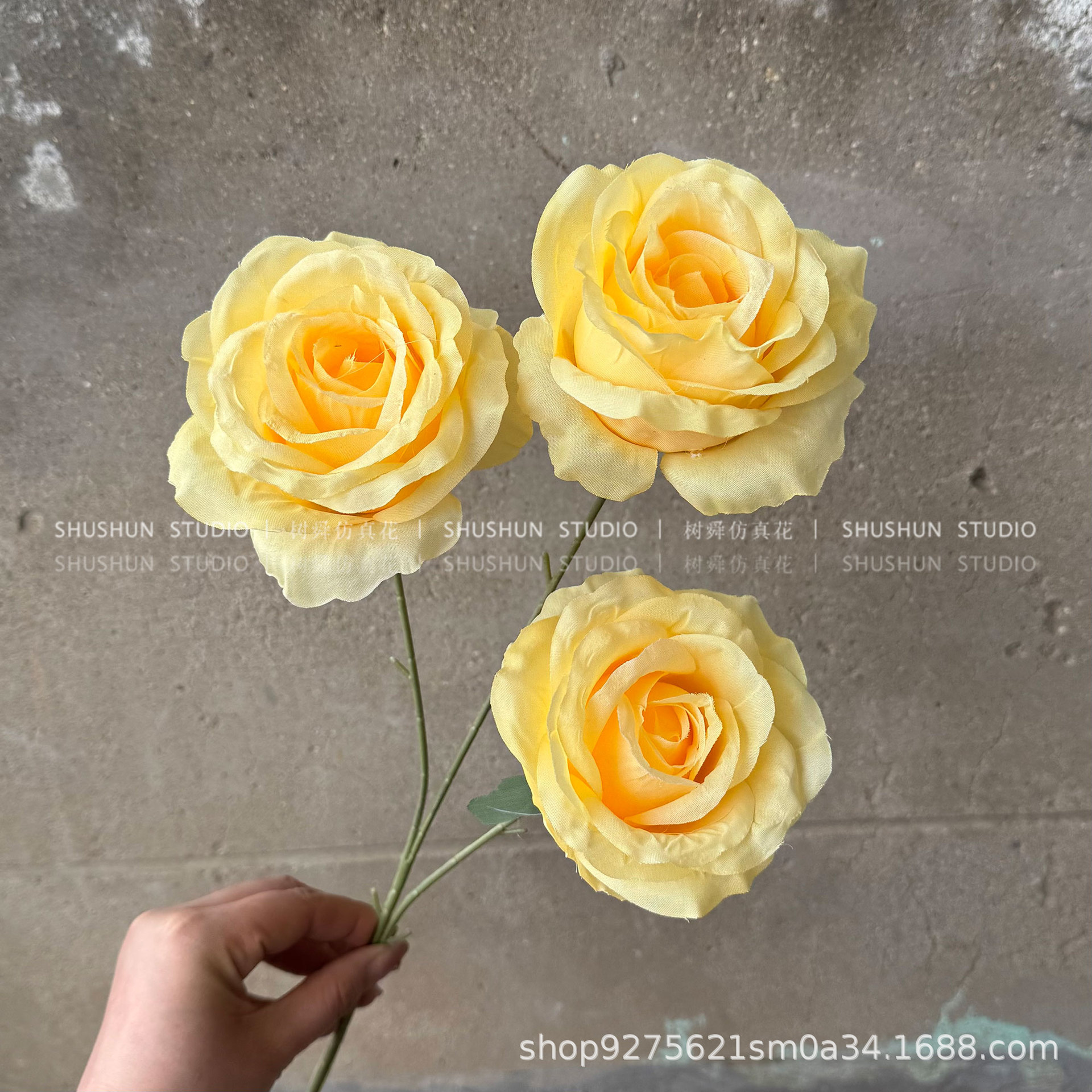 안나 장미 3송이