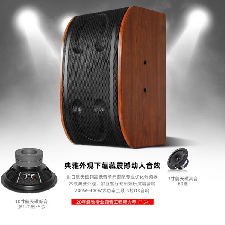 Venta al por mayor personalizado familia KTV profesional audio traje hogar karaoke Conferencia conjunto completo 10 pulgadas titular de la tarjeta altavoz