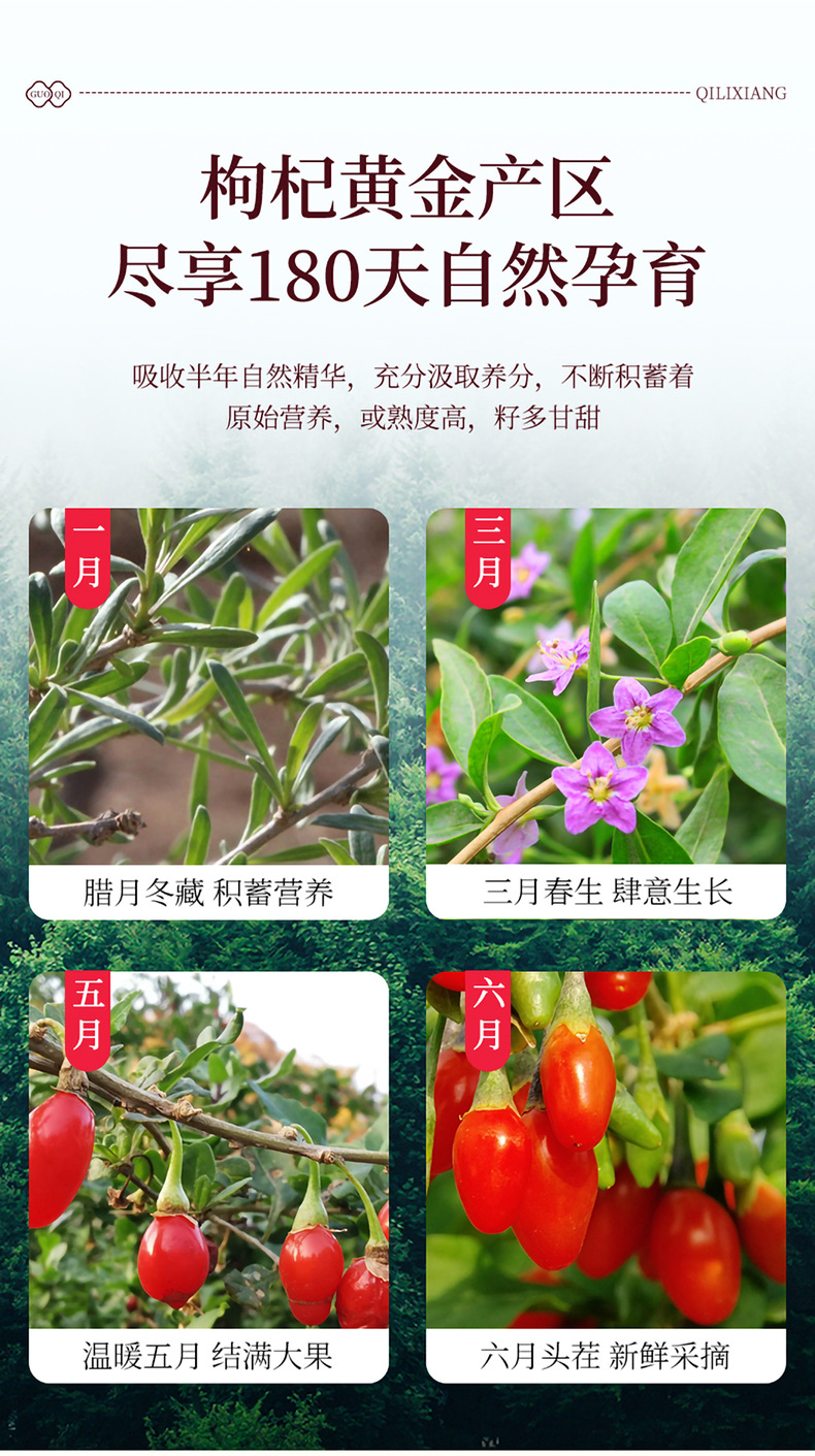 Goji Berry Gift Box 15 Jars 300g Ningxia Large Grade Ready to Eat Wolfberry quality and texture