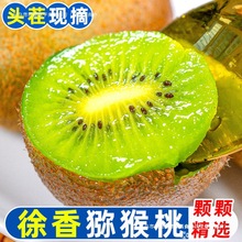 陕西徐香猕猴桃新鲜孕妇水果斤水果新鲜当季整箱翠绿心奇异特级