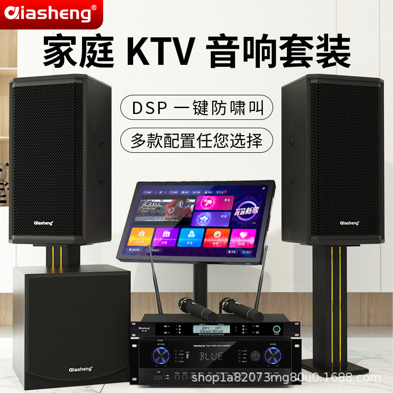 家庭用ktvオーディオセットの家庭用リビングルームのアンプセット|undefined