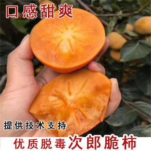 �޽Ӵ������Ә����ش��O�����Ә�������箔��Y�������Nֲ����
