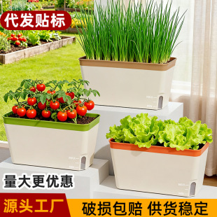 �S�����l�Ӻ��L���λ��������L�l�N������ˮ���˻�����⻨������