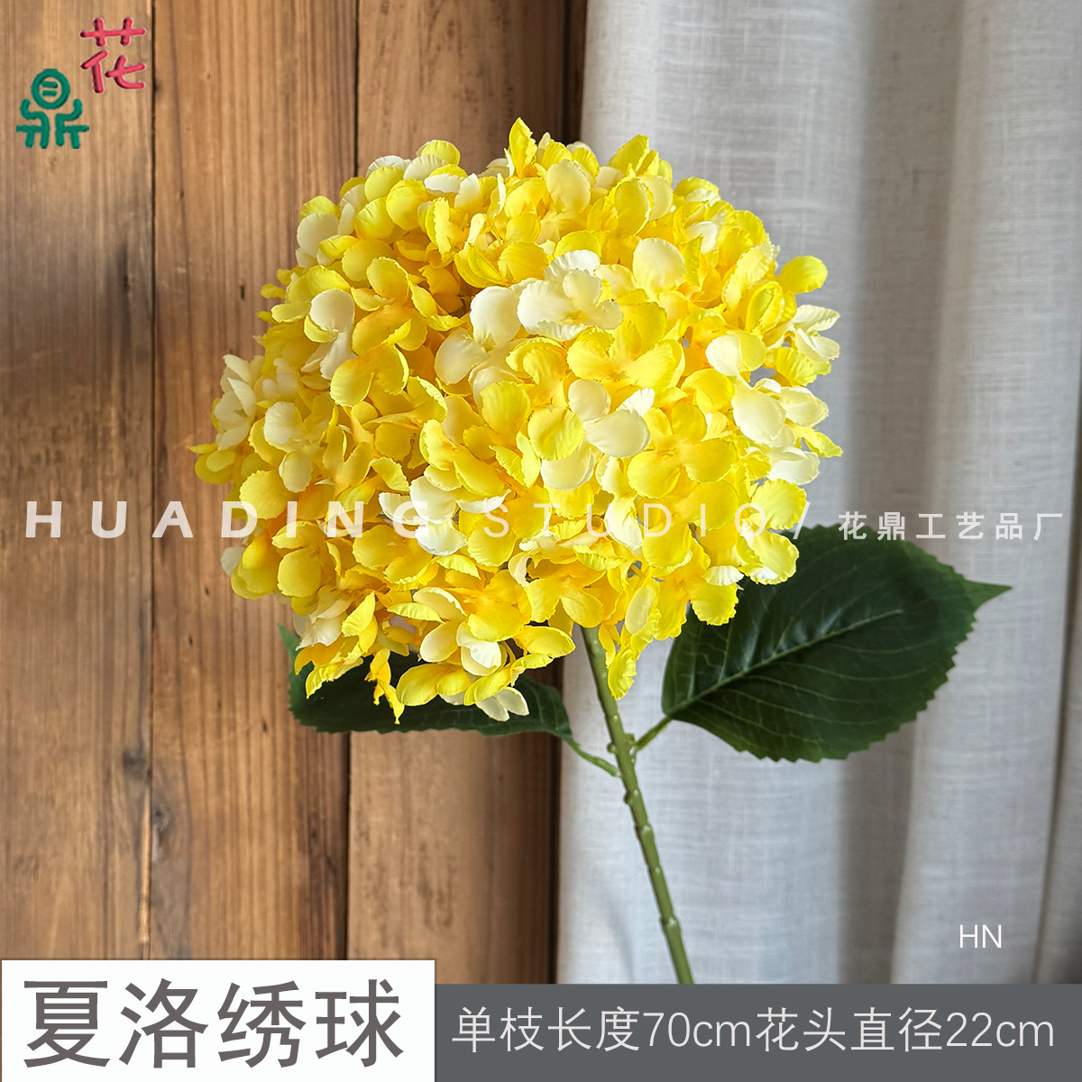 샤를로 수국 HN 옐로우