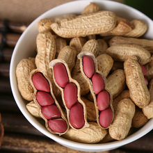 ���㻨���׺����Sɽ�|�S��ɢ�b�������l�㿾�������״����W�tʳƷ