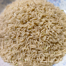 2024���²����r���Ԯa�������׵�֬�L������5��10���b����s�Z