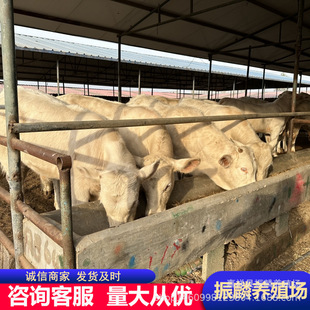 ������ۺ�Ʒ�N�����T����ţ ��ľٝţ �����Rţ�����Sţ