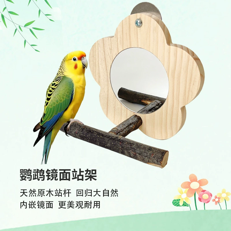 Зеркальная игрушка-попугай, деревянная подставка для зеркала для неразлучников, корелл, волнистых попугайчиков и корелл с палочкой для шлифовки когтей и подставкой для сидения.