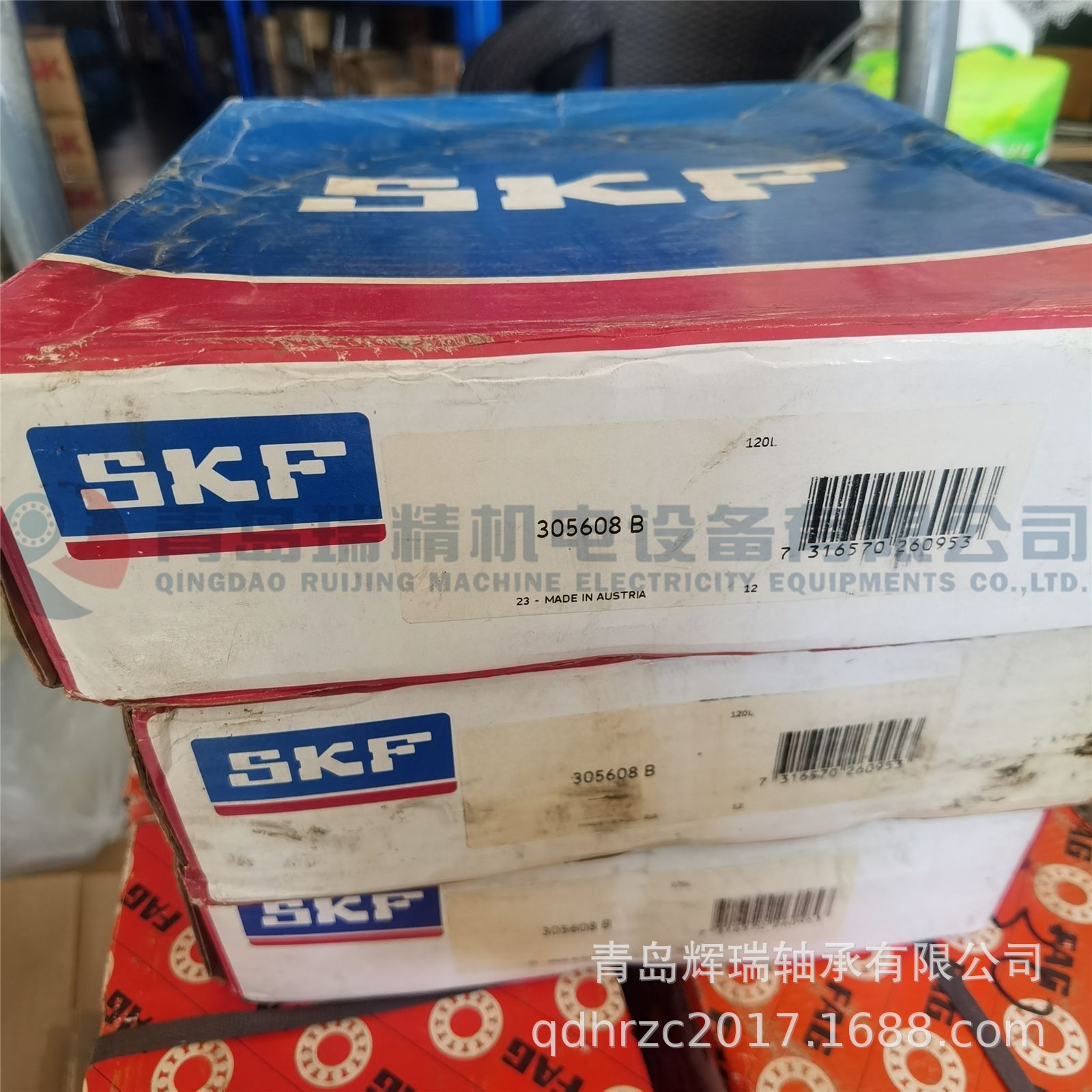 SKF 305608B (2).jpg