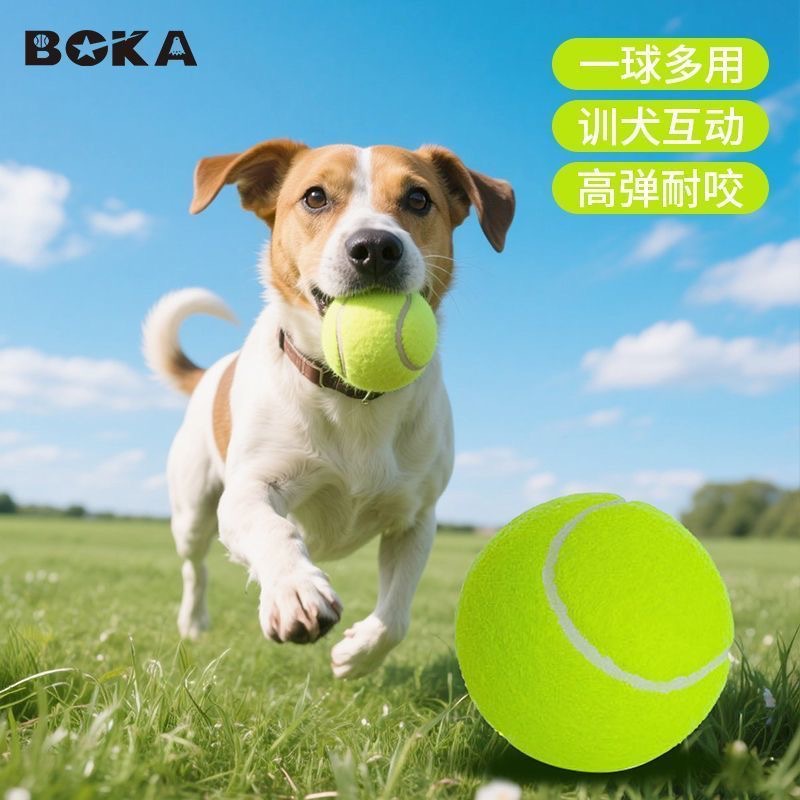 Boca Pet Tennis Training Kit for Beginners and Intermediate Levels: Durable, High-Bouncing, and Wear-Resistant.