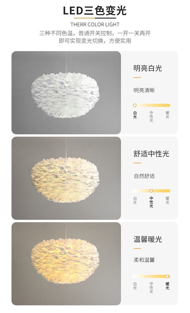 0da986c1-5dab-4570-a167-5563a2c6c67f.jpe