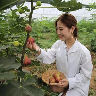 �o��������粨���t�ش����Ե��԰����Ϸ���������Y���o�������