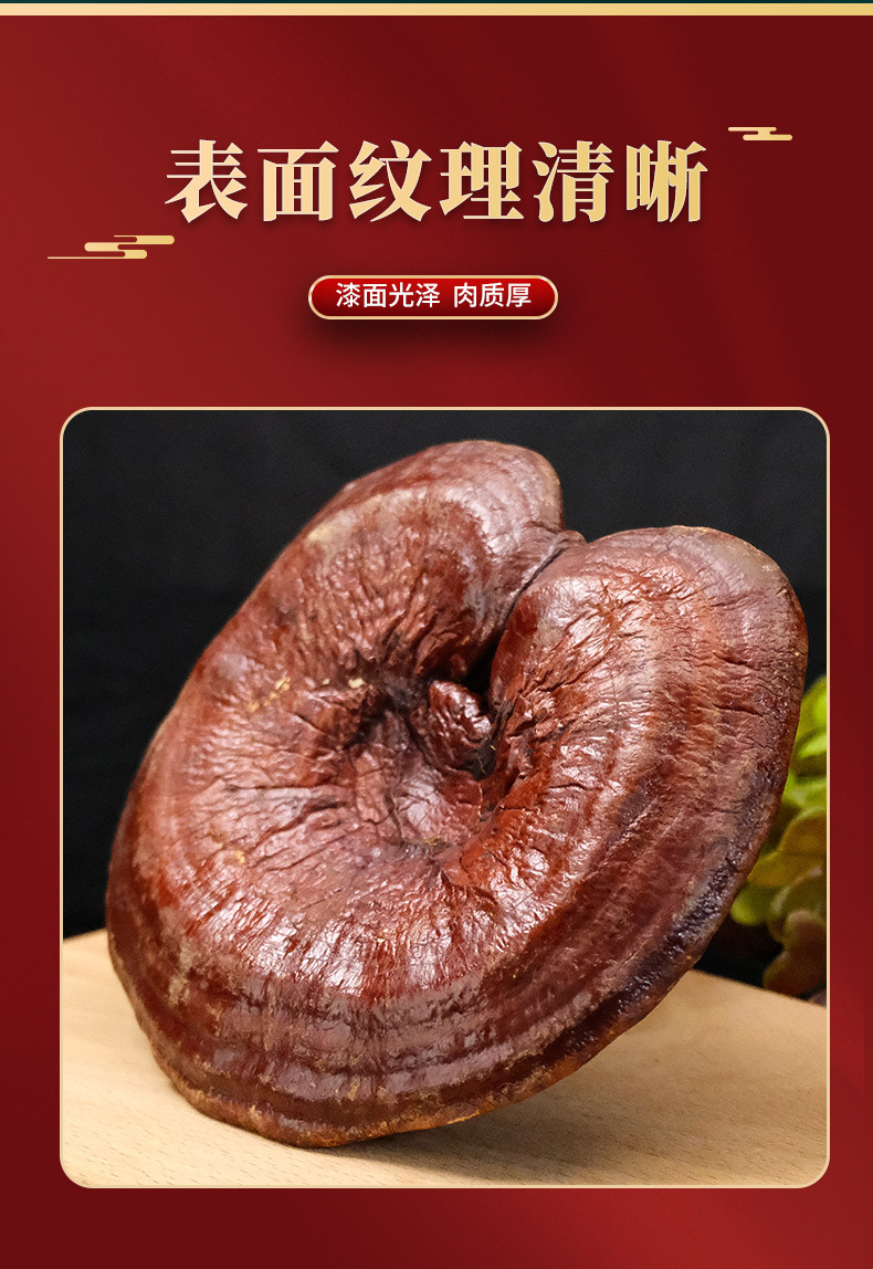 Northeast Reishi Mushroom Gift Box Dried Lingzhi Slices for Tea and Wine Soaking 200g in use