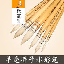 羊毛胖子水彩笔套装成人美术绘画手绘染色练习用动物毛羊毫圆头笔