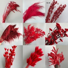 �������tɫϵ��Y�����ɻ�����Ҿ��b�ӭ�Ͷ���횲ݵ������R��