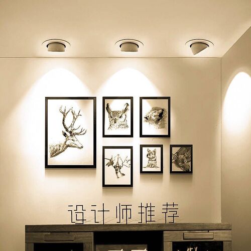 Porcelain nose LED spotlight high brightness embedded ceiling spotlight hallway entrance COB bullseye downlight clothing store Nordic