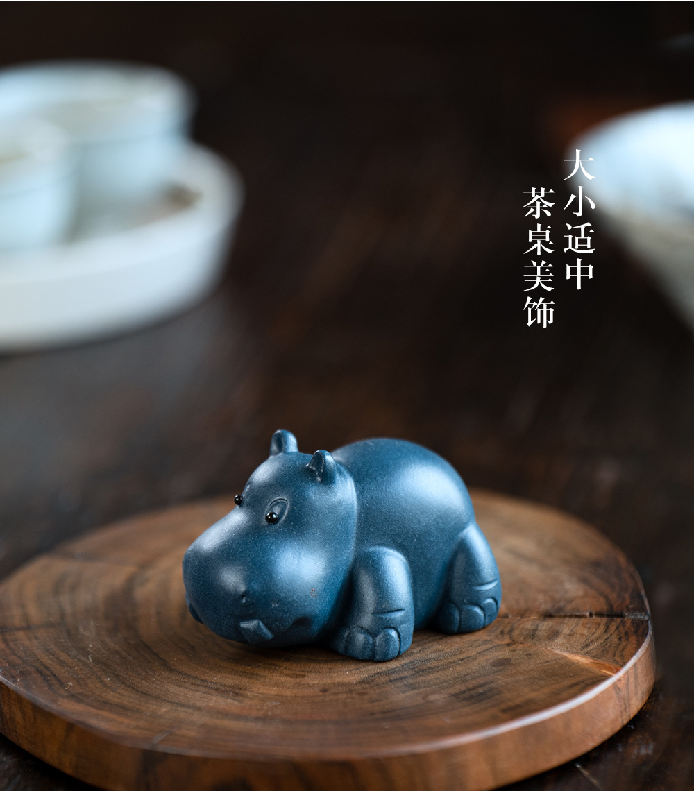 小河马20240528 (23).jpg