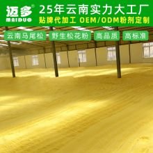 云南松花粉破壁松花粉批发马尾松花粉野生松花粉头道新粉迈多厂家