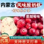 哈尔滨东北特产手工酸奶