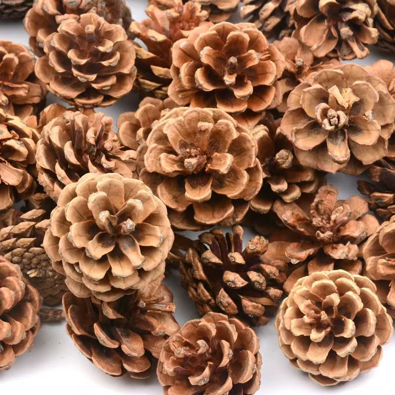 Wholesale Pine Cones Christmas DIY Decoration Pendants Christmas Tree Material Package Pine Balls Kindergarten Handmade Materials
