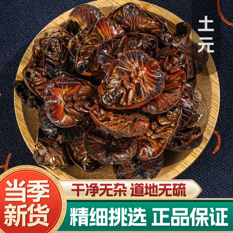 Dried Ground Beetle Tu Bie Chong Whole Insect TCM Herb 500g Washed Dried Bulk key features