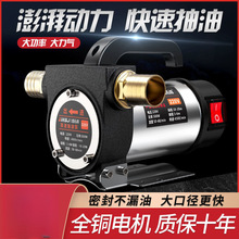 电动抽油泵12v24v通用220v柴油泵小型抽油机自吸泵加油神器加油机