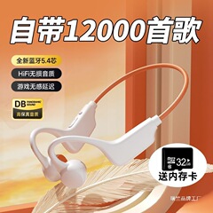 2025年新骨伝導Bluetoothヘッドセット、痛くない装着感、長いバッテリー寿命、挿入可能なカード、スポーツランニングイヤーフックヘッドセット