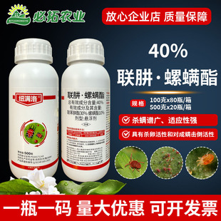 40%�����\�����٘�t֩�뚢�\���\�����ѳ��\���x����������