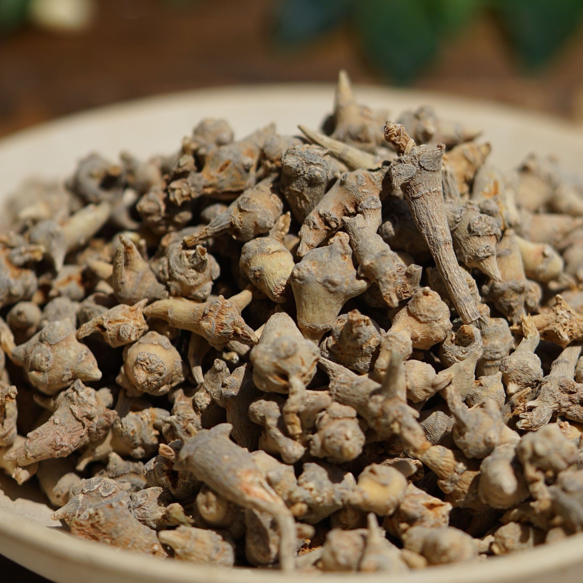 Tibetan Notoginseng Root Chunks Dried San Qi for Traditional Herbal Decoction 50g quality and texture