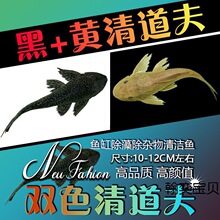 ������~��̦���~�ԼS�����������~�^�p�~�Ꭷ�坍���]�����~