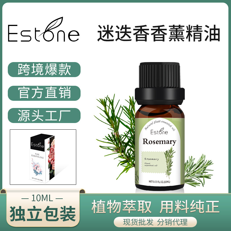 10ml cross-border single essential oil, rosemary aromatherapy essential oil, Amazonian air purifying bedroom plant essential oil