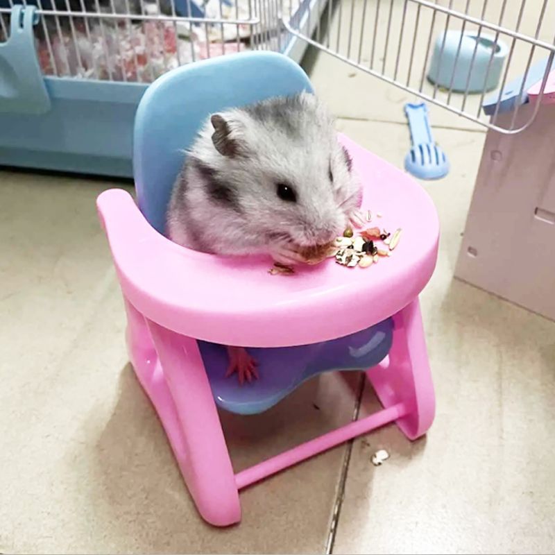 Golden Bear Dwarf Hamster Dining Table Chair Toy Trolley Hamster Toy Small Dining Chair Hamster Seat