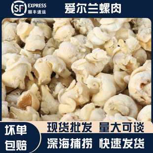 �۠��m�����^�΃��S���^���������Ҝ����NҎ�����l�Sֱ�N