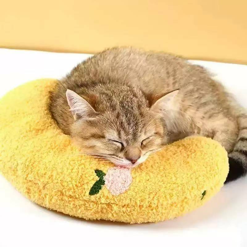 고양이 U자형 베개 [옐로우]