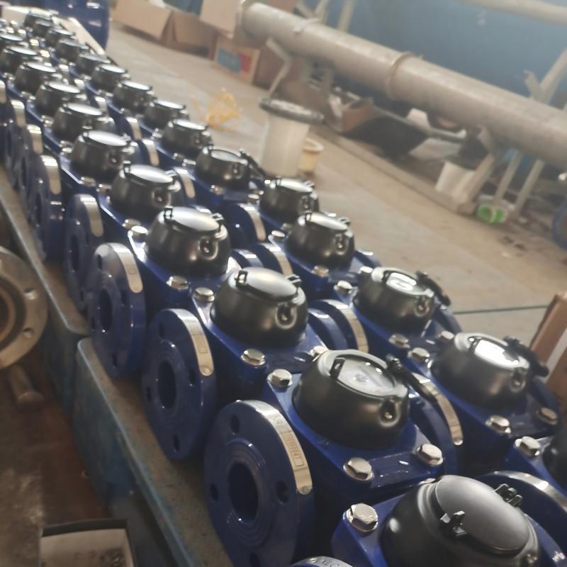 LXLC250多功能高压水表 LXLC300典型专用高压水表