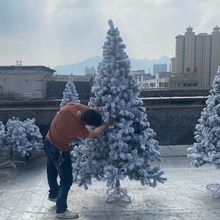 仿真加密白色圣诞树植绒树雪树 1.5米/1.8米/3米雪松喷雪冰雕装饰