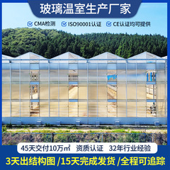 野菜温室骨組み鋼管フルセット花展示複数の観光スマート温室鋼管骨組みガラス温室