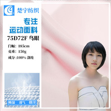 厂家现货75D72F鸟眼布 针织面料球衣运动服T恤布纬编三级 网眼布