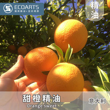 ��Ⱦ��� ������M�ھ���ԭ�����l�η�����ԭ�Ϸ���ԭ����������